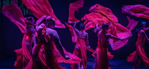 Darwin Fringe Festival - Accommodation Broadbeach 1