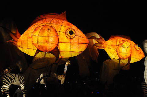 DREAM Festival: Music And Markets Event - Accommodation Broadbeach 2