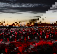 Field of Light Uluru - Accommodation Broadbeach