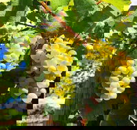 GetawaysSA Bringing Barossa To Your Door - Accommodation Broadbeach