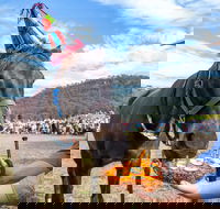 Horses Birthday Festival - Accommodation Broadbeach