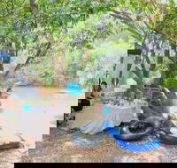 Jungle Love Festival - Accommodation Broadbeach