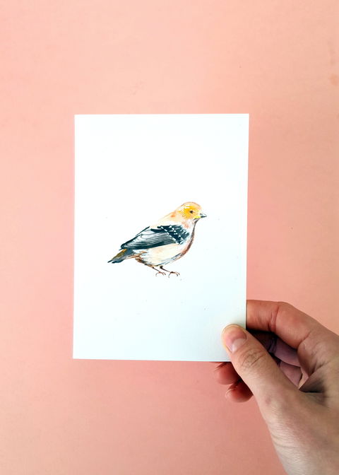 NW Niche Christmas Market In Burnie - Accommodation Broadbeach 1