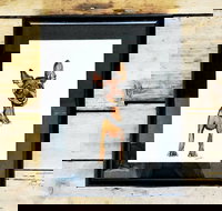 Pen  Ink Illustration Workshop - Accommodation Broadbeach