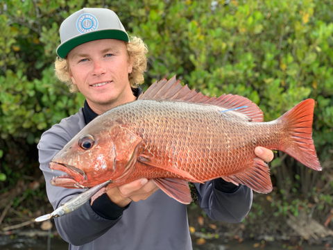 SCF Research And Sustainability Competition - Accommodation Broadbeach 0