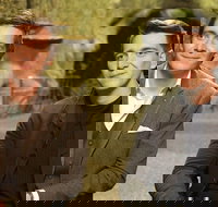 The Quiz Show of Magic  Wizards - Accommodation Broadbeach