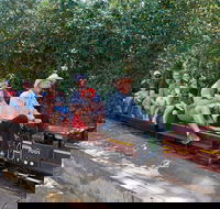 Twilight Run   Willans Hill Miniature Railway - Accommodation Broadbeach