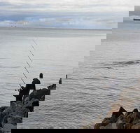 Whale Watching in Portland - Accommodation Broadbeach