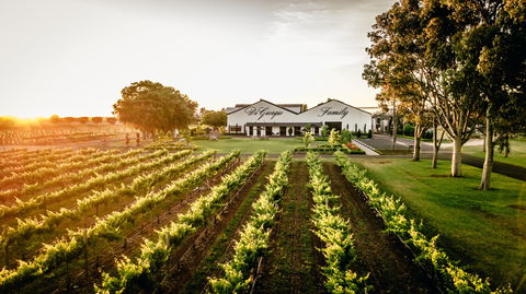 Aged Wine And Vintage Pies - Accommodation Broadbeach 2