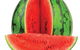 Zenith Gourmet - thumb 0