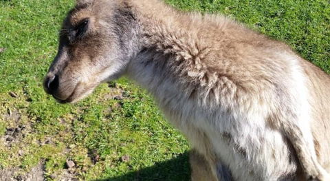 Ningaloo Lodge Exmouth - Accommodation Broadbeach 2