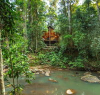 The Canopy Rainforest Treehouses and Wildlife Sanctuary - Accommodation Broadbeach