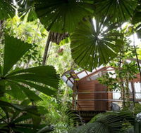 Daintree Wilderness Lodge - Accommodation Broadbeach