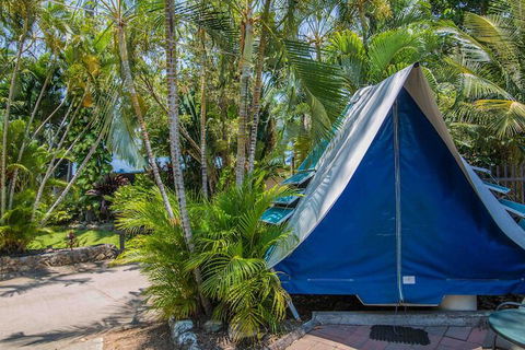 Tasman Holiday Parks - Airlie Beach - Accommodation Broadbeach 5