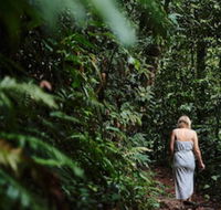 Daintree Ecolodge - Accommodation Broadbeach