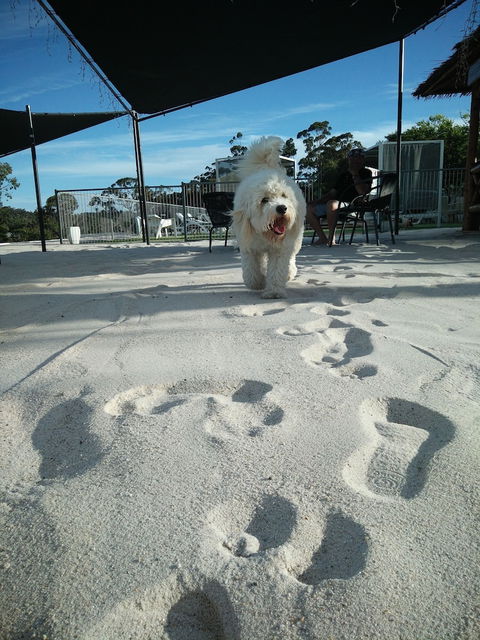 Clare Valley Motel - Accommodation Broadbeach 5