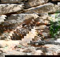 Jenolan Caves House - Accommodation Broadbeach