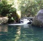 Daintree Secrets Rainforest Sanctuary - Accommodation Broadbeach
