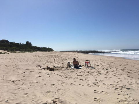SHELLHARBOUR BEACH COTTAGE 1 Minute Walk To Beach Flags In Summer - Accommodation Broadbeach 1