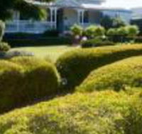 Whiskey Gully Wines - Accommodation Broadbeach