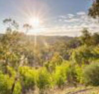 Skillogalee - Accommodation Broadbeach