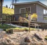 Sunny Gum - Accommodation Broadbeach