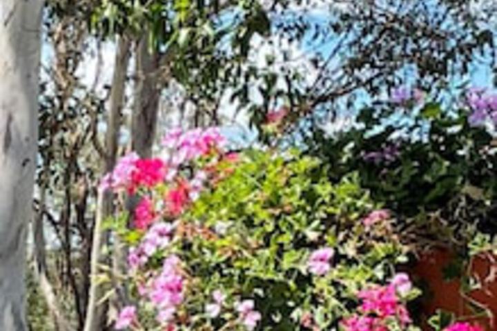 Anduramba QLD Accommodation Broadbeach