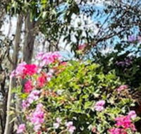 Crows Nest Motel - Accommodation Broadbeach