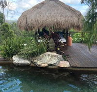 Hinterland Hideaway - Accommodation Broadbeach