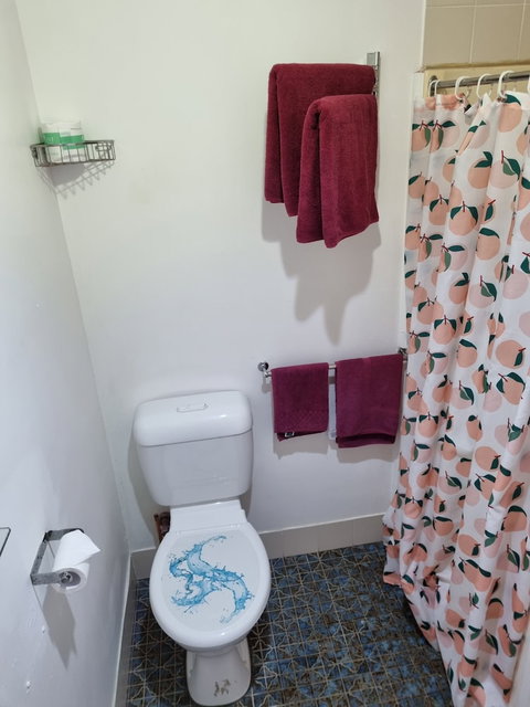 Taree Lodge Motel - Accommodation Broadbeach 4