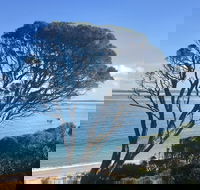 Cowes on the Bay - Accommodation Broadbeach