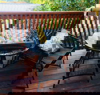 The Little Jungle Studio - Accommodation Broadbeach