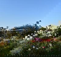 Labertouche Gypsy Creek Winery - Accommodation Broadbeach
