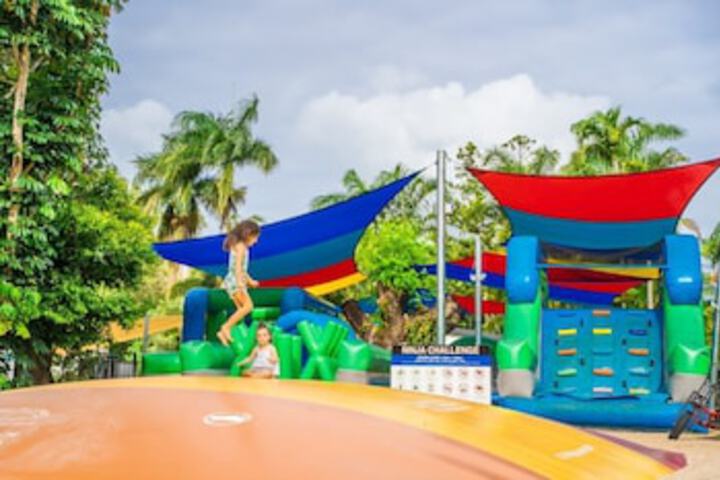 Flametree QLD Accommodation Broadbeach