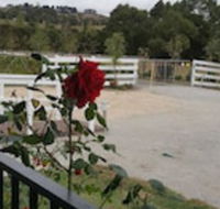 Silverbirch Cottage Loch - Accommodation Broadbeach