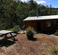 Minnow cabins - Accommodation Broadbeach