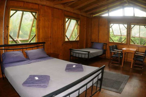 Daintree Rainforest Bungalows - Accommodation Broadbeach 4