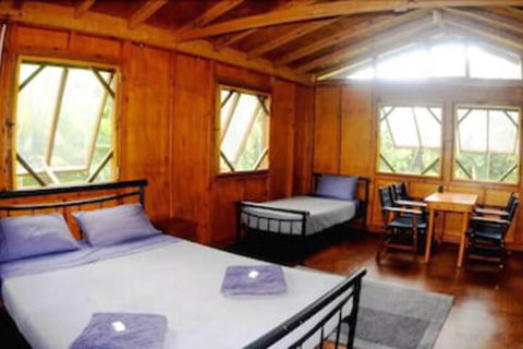 Daintree Rainforest Bungalows - Accommodation Broadbeach 5
