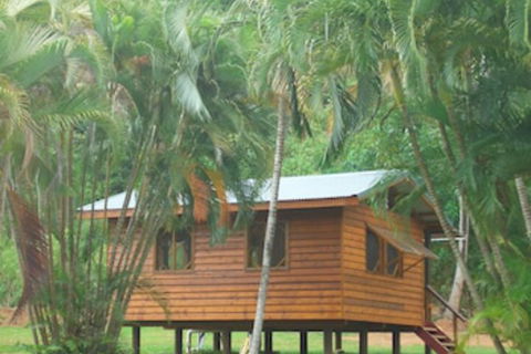 Daintree Rainforest Bungalows - Accommodation Broadbeach 0
