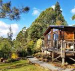 Southern Forest Accommodation - Accommodation Broadbeach