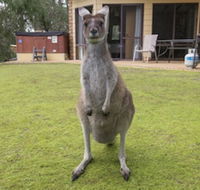 Yelverton Brook Conservation Sanctuary - Accommodation Broadbeach