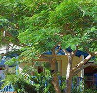 Amber Gardens Guesthouse - Accommodation Broadbeach