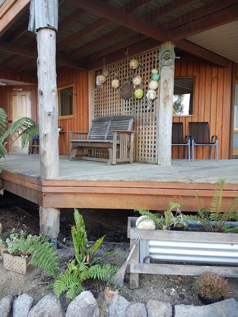 Bed In The Treetops Bed & Breakfast - Accommodation Broadbeach 1