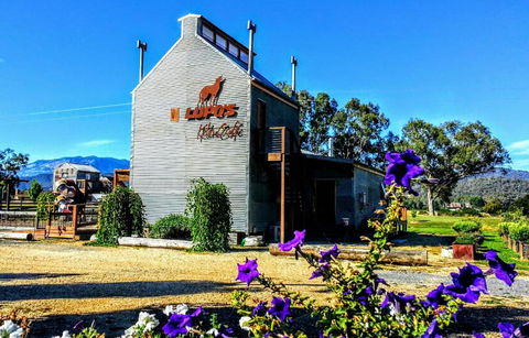 Lupoâ€™s Loft - Accommodation Broadbeach 2