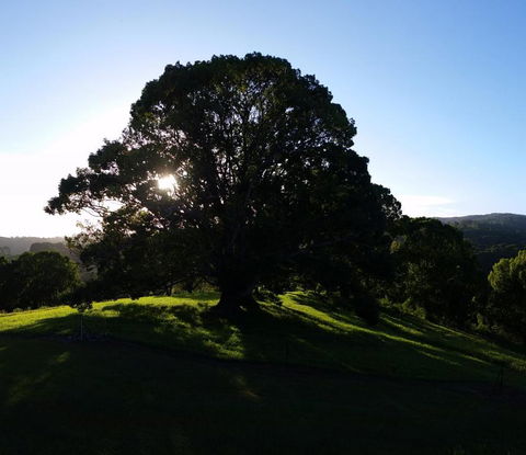 Valleydale Cottage - Accommodation Broadbeach 1