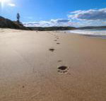 Surfers Paradise at Catherine Hill Bay