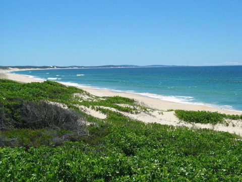 Pet Friendly On Pelican Close To Myall River - Accommodation Broadbeach 3