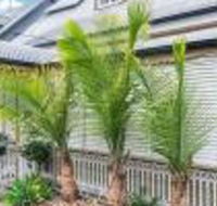 One Thornbury Boutique B  B - Accommodation Broadbeach