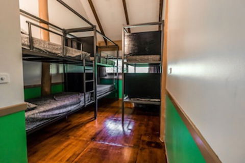 Jackaroo Treehouse Mission Beach - Accommodation Broadbeach 0