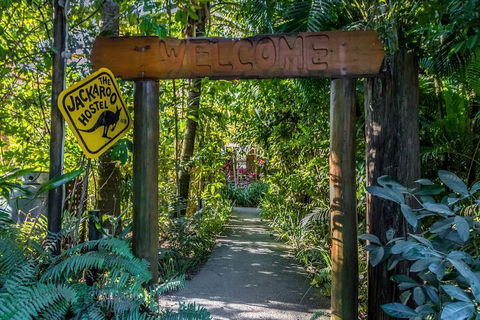 Jackaroo Treehouse Mission Beach - Accommodation Broadbeach 1